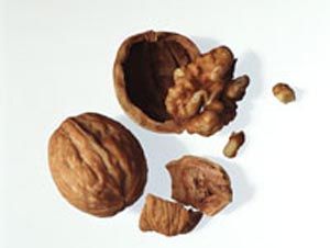 Foto Noticia Proteínas vegetales